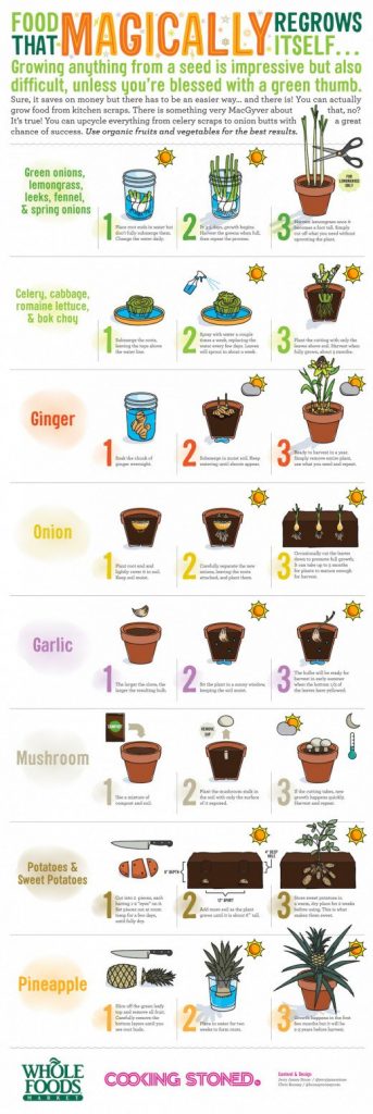 Use these tips to create the PERFECT garden!