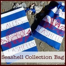 seashell-collection-bag