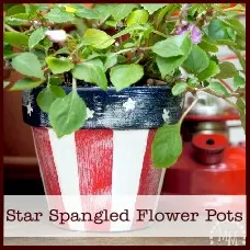 star-spangled-flower-pots