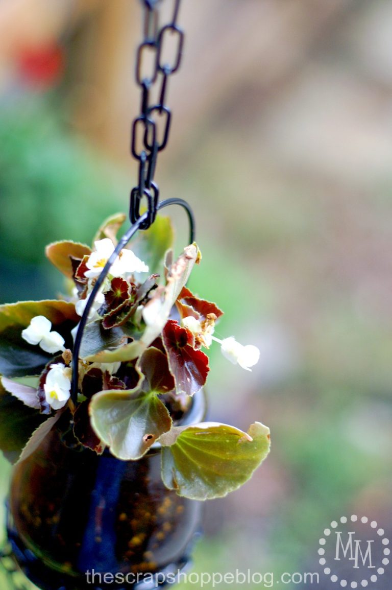 Hanging Votive Planter
