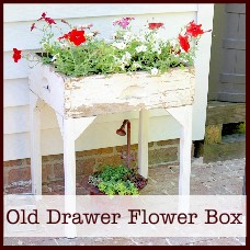 old drawer flower box