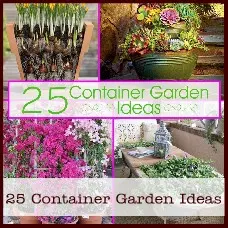 container-garden-ideas