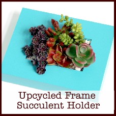 upcycled frame succulent holder