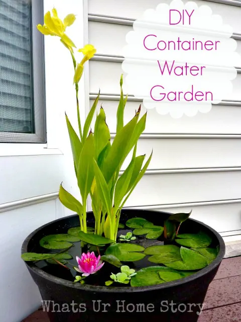 DIY-Water-Garden1