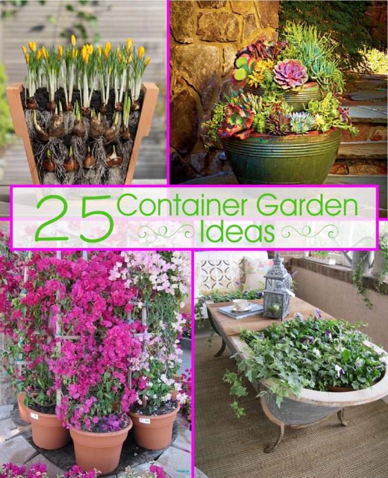 25 Container Garden Ideas