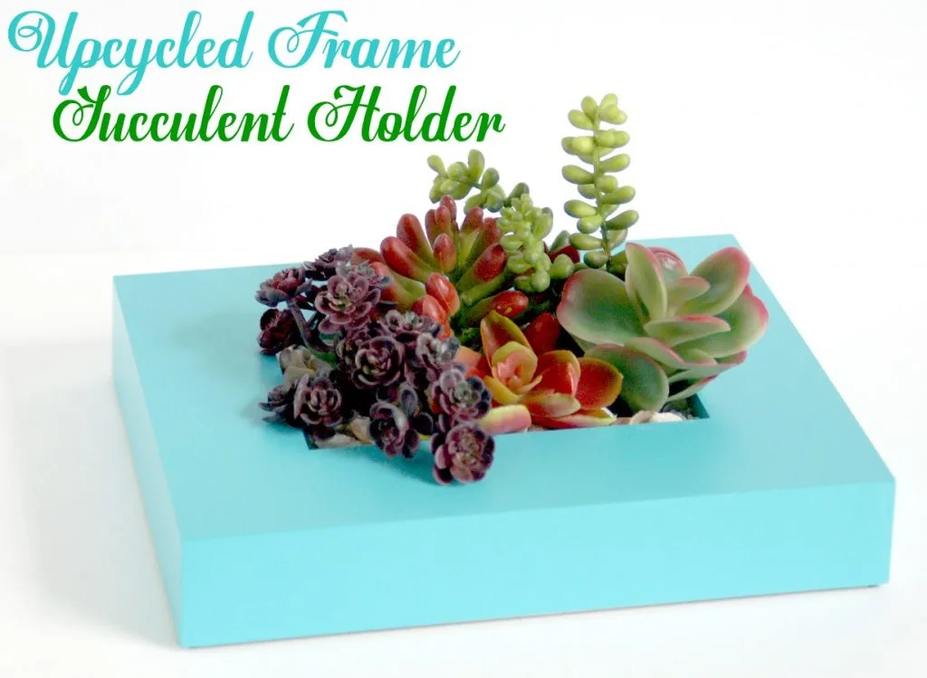 upcycled-frame-succulent-holder