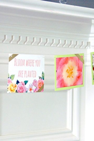 Floral Photo Banner