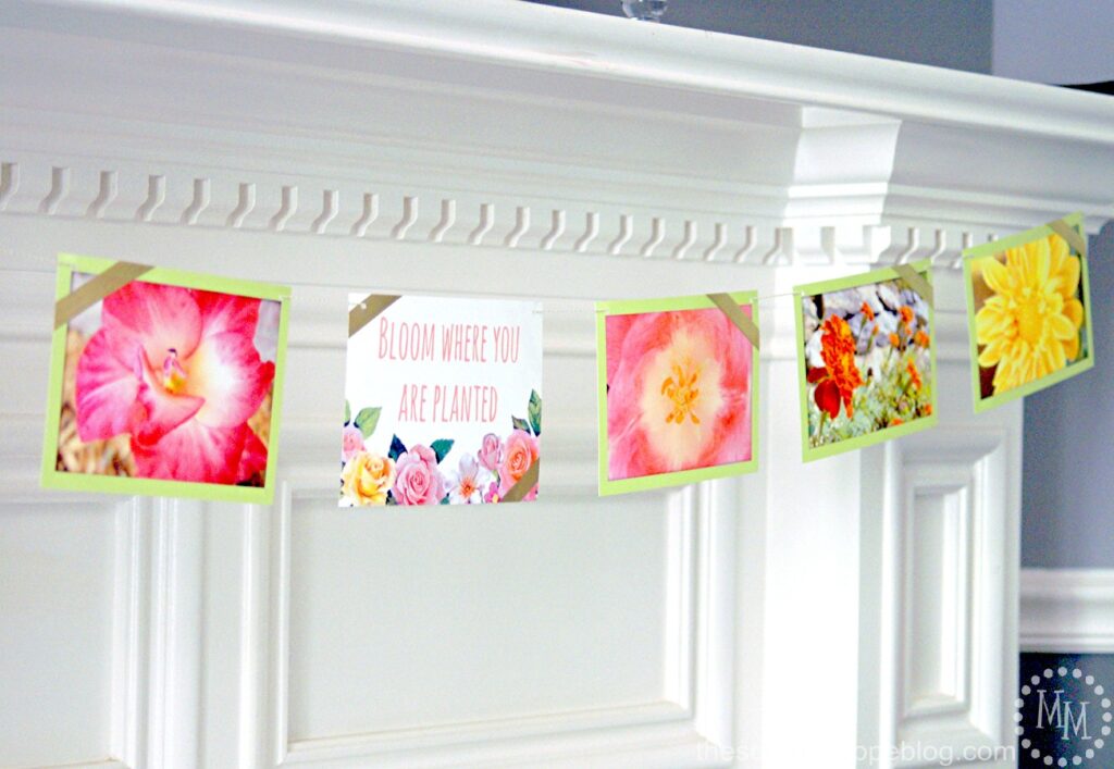 Floral Photo Banner