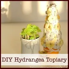 DIY Hydrangea Topiary