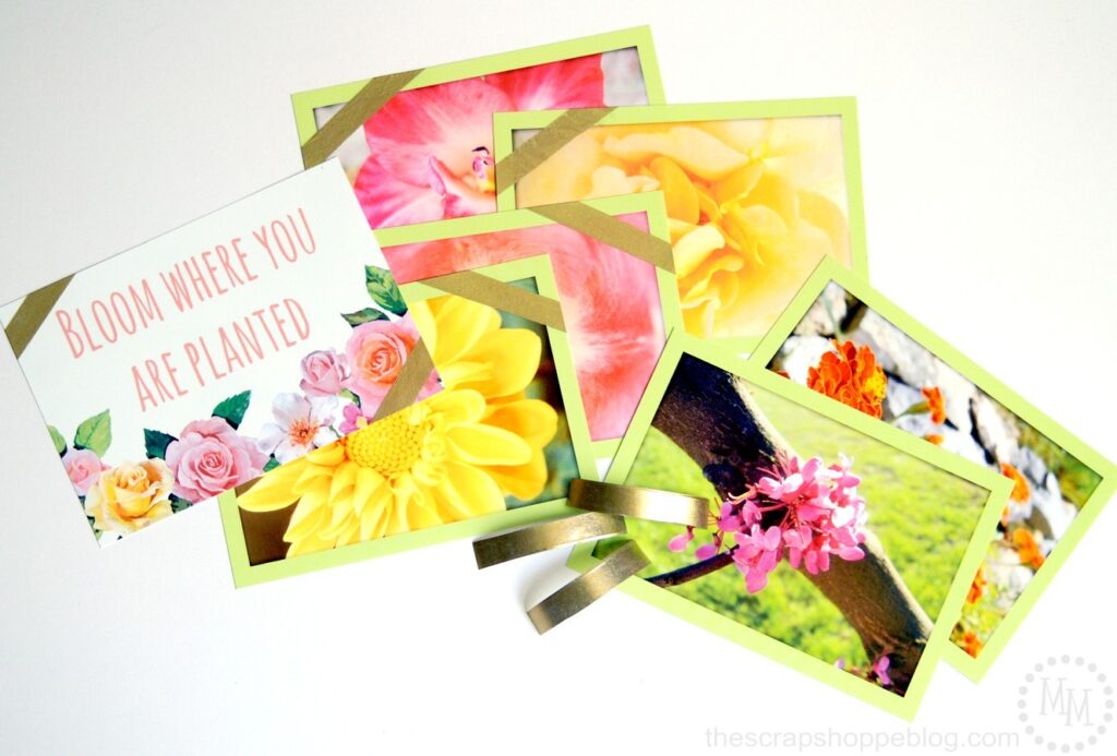 Floral Photo Banner