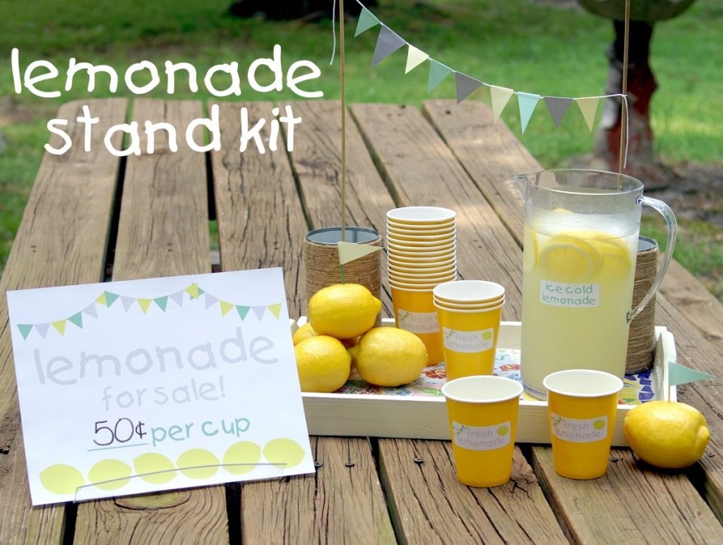 Summer Lemonade Stand Kit