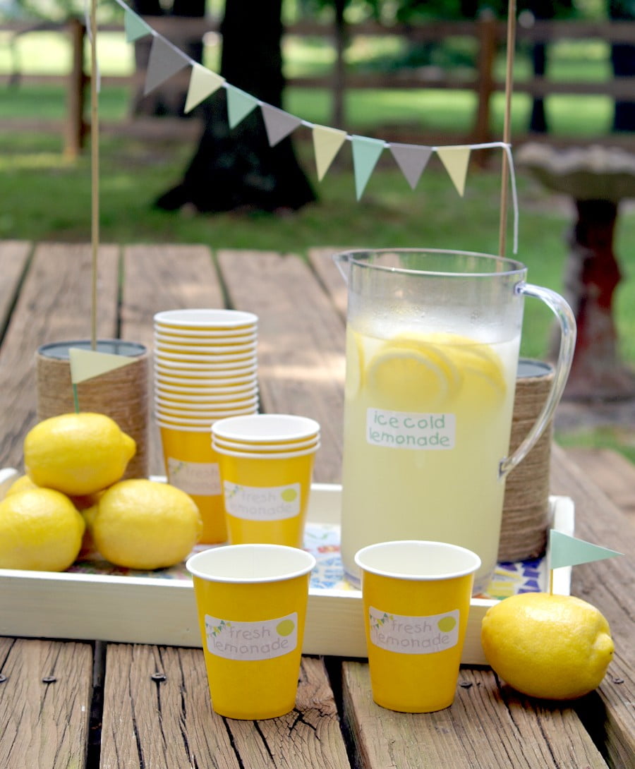 Summer Lemonade Stand kit