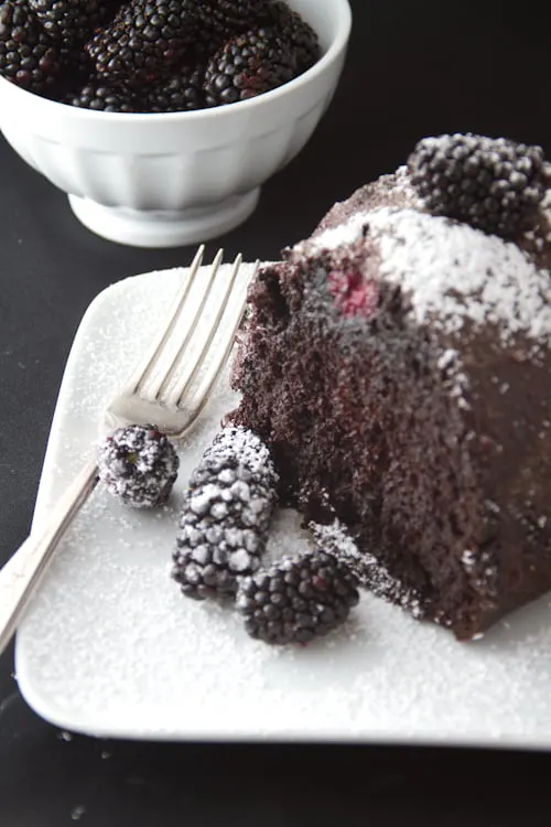 Chocolate Blackberry Cake Slice
