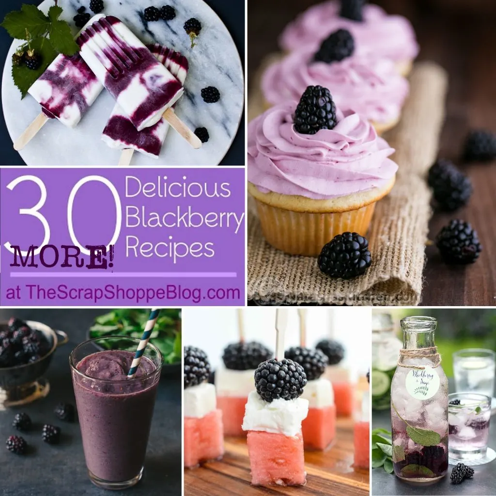30 {MORE!} Delicious Blackberry Recipes