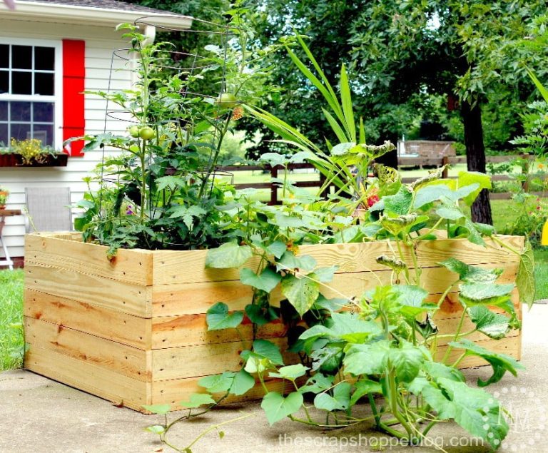DIY Container Garden Enclosure