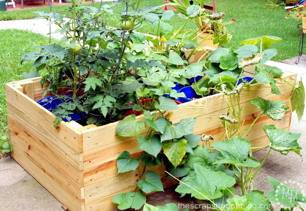 DIY Container Garden Enclosure