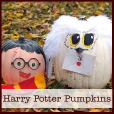Harry Potter Pumpkins