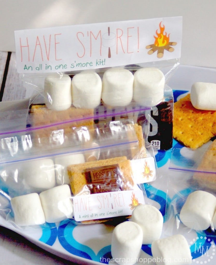 S'mores Camping Kit with Printables - perfect for camping with large groups or parties!