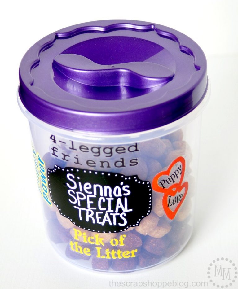 Simple DIY Doggy Treat Container that can be customized AND taken on the road!