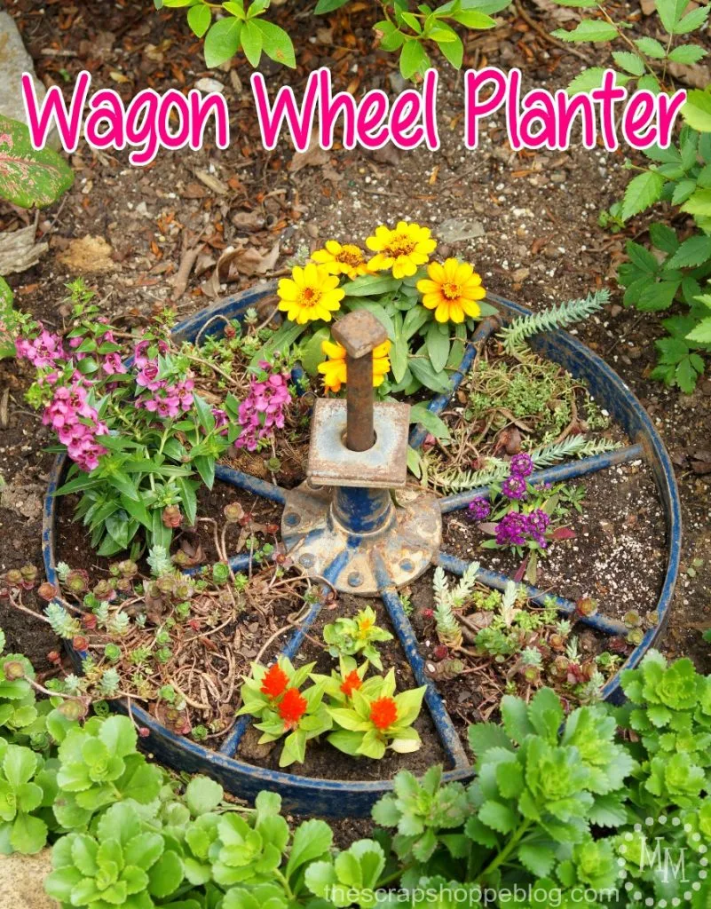 Wagon Wheel Planter - turn an old wagon wheel into a fun planter for the flower garden!