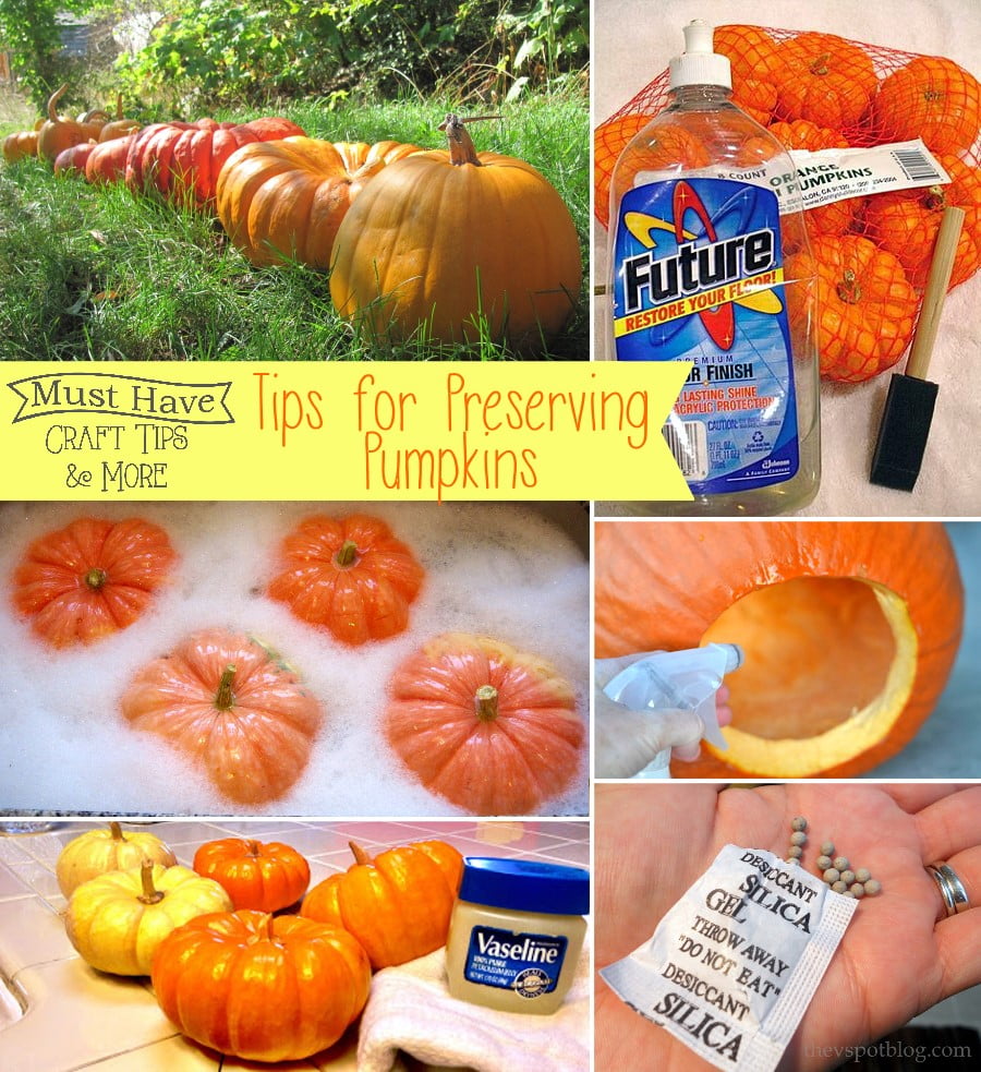 Must Have Craft Tips: The BEST Tips for Preserving Pumpkins all fall long