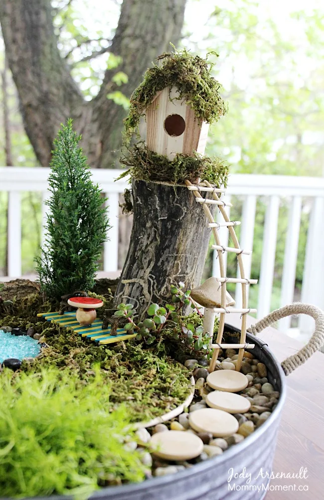 Make a fairy garden this summer with these tips and tricks!