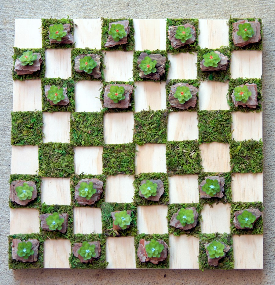succulent checkerboard