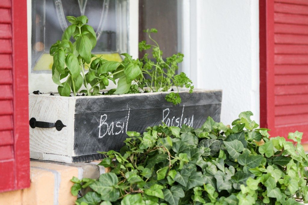 Fresh herbs are the BEST for cooking! Grow your own with these adorable planter ideas!