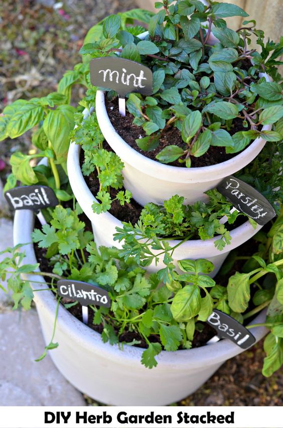Fresh herbs are the BEST for cooking! Grow your own with these adorable planter ideas!