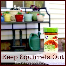 tricks to keep squirrels out of flowers