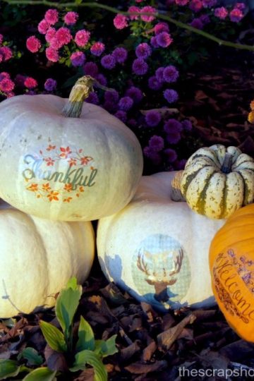 Dress up your home the EASY way with these FREE fall home decor prints!