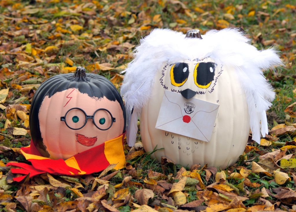 Harry Potter & Hedwig Pumpkins