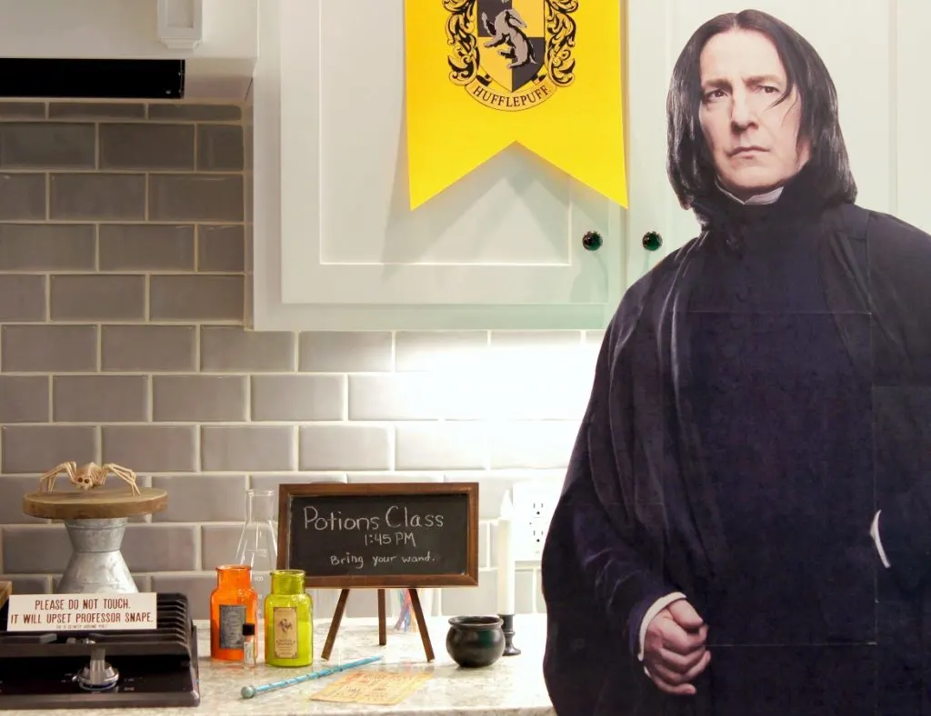 Harry Potter Potions Class with Severus Snape